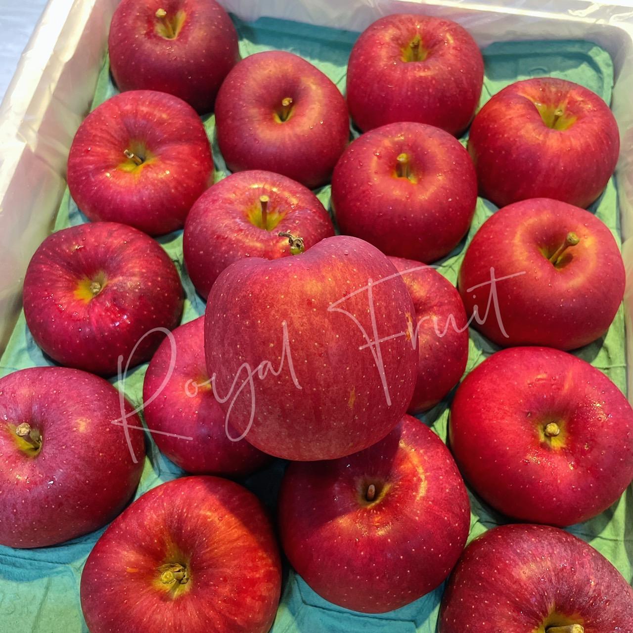 日本青森蜜蘋果 /粒