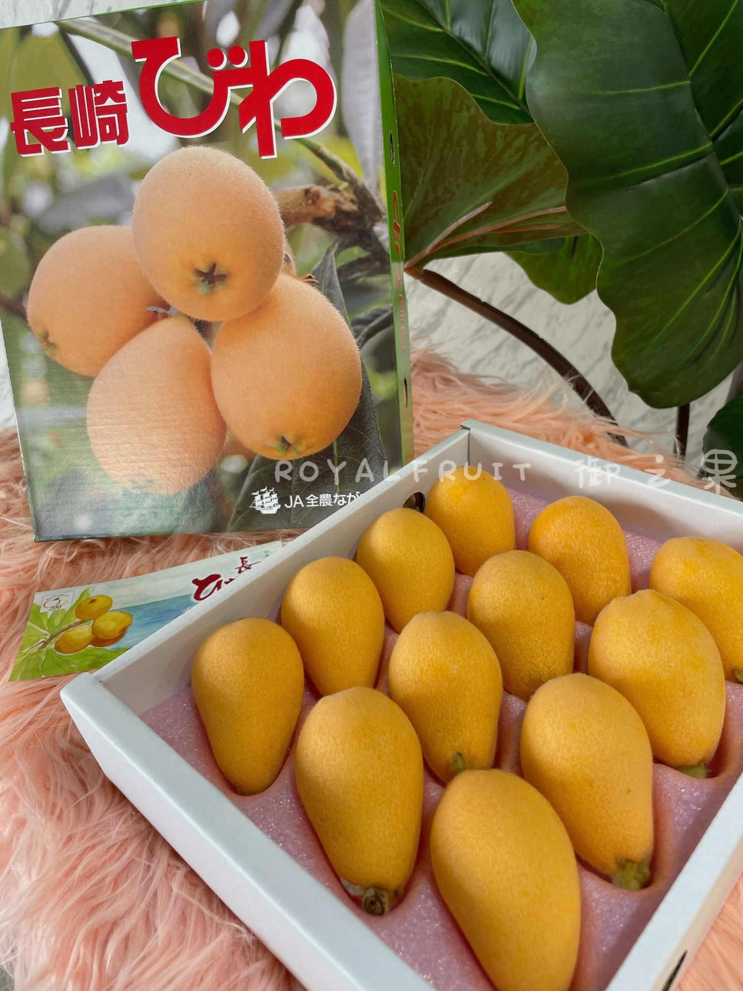 日本長崎溫室枇杷 / 盒