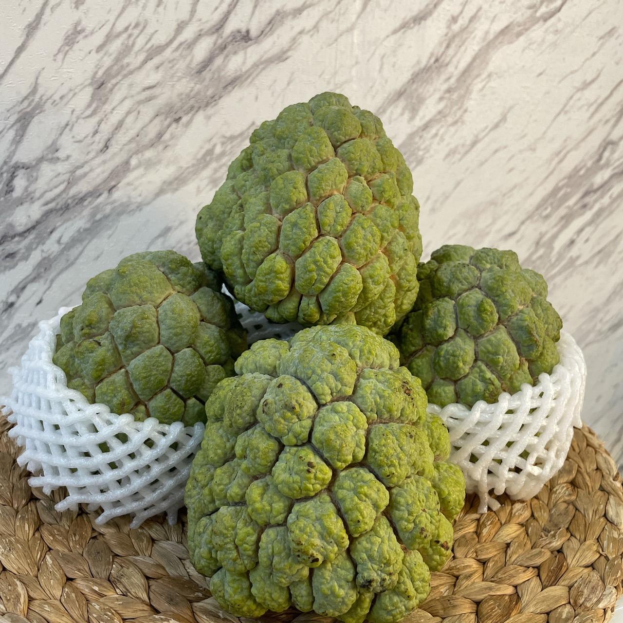 台灣大目釋迦 /粒