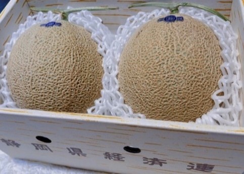 12-9日本哈密瓜(兩入)