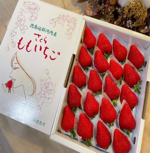 德島左那河內產草莓