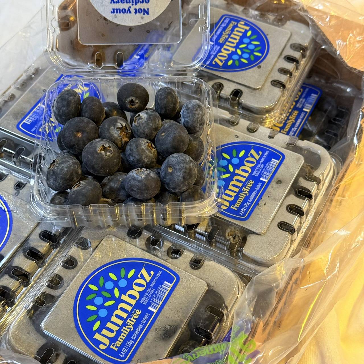 祕魯藍莓/盒 祕魯藍莓/盒