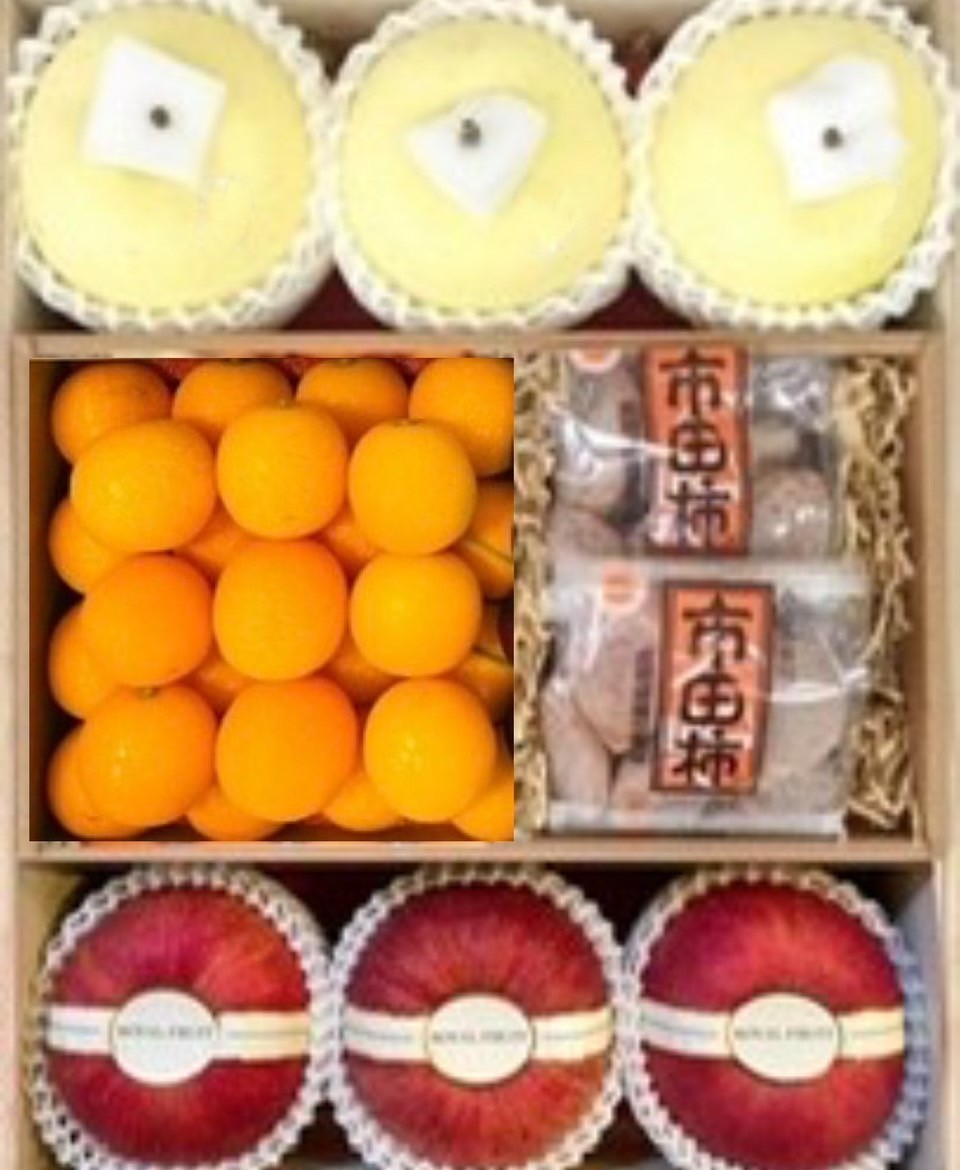 11-3金星蘋果+鹿兒島金桔+市田柿+青森蜜蘋果