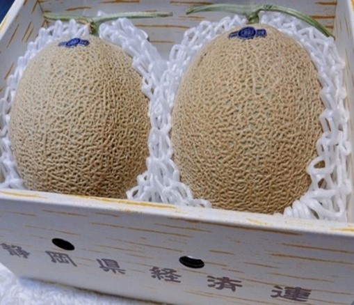 11-12日本哈密瓜兩入