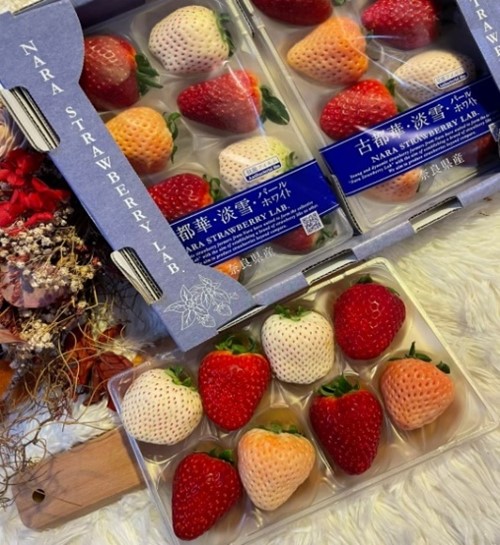古都華淡雪三色草莓