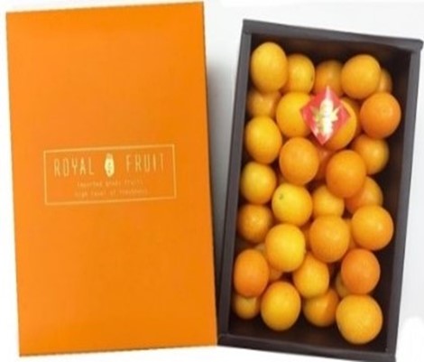 4-8日本鹿兒島金桔 1KG