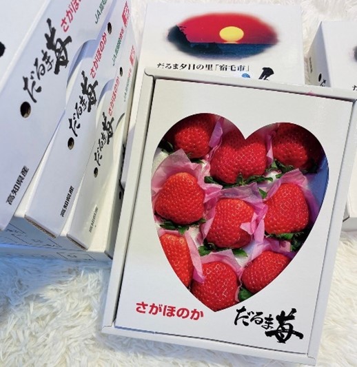 高知縣達摩愛心草莓