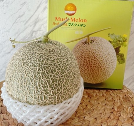 1-4 台灣哈密瓜 單入