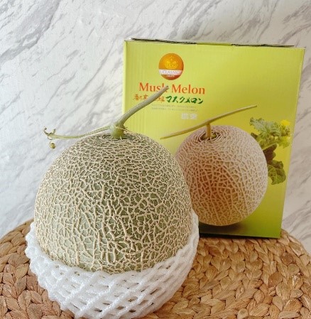 1-2台灣溫室哈密瓜