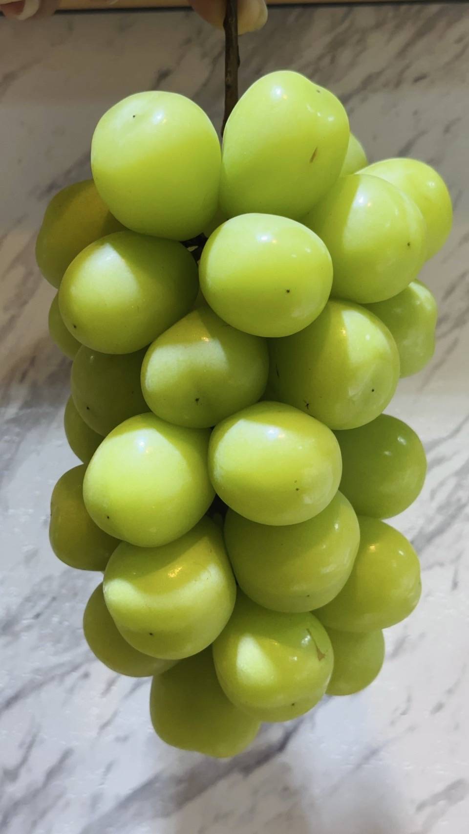 長野麝香葡萄/串