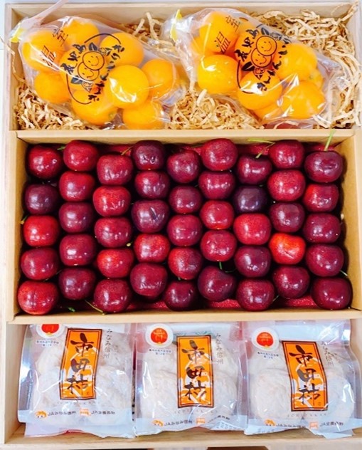 15-4 鹿兒島金桔+紐西蘭櫻桃+市田柿