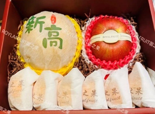 3-1 韓國新高梨+智力蘋果+日本小柑橘