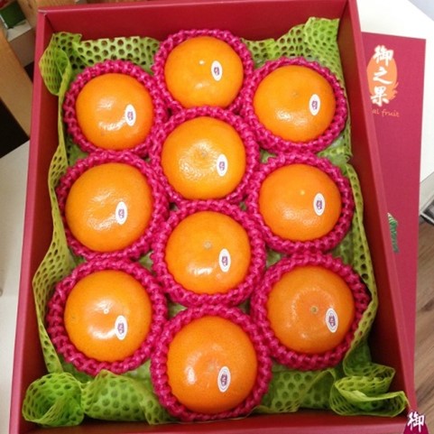 0-1 台灣茂谷柑 10入