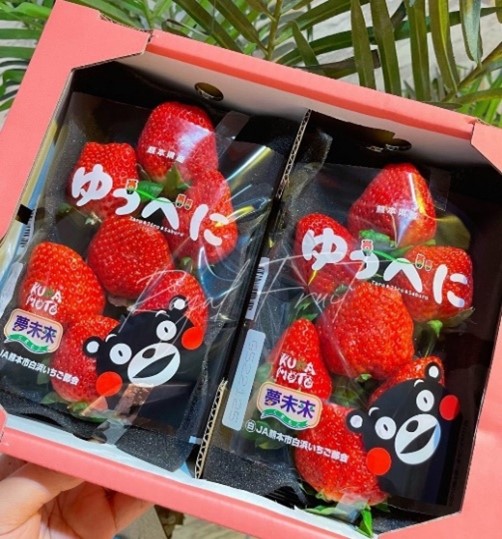 熊本縣草莓