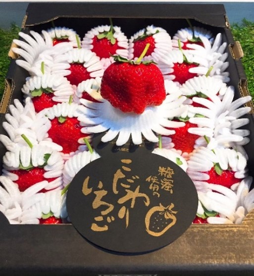 熊本縣菊池糖蜜草莓