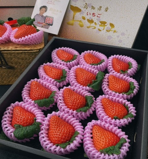 高知縣大妃美草莓