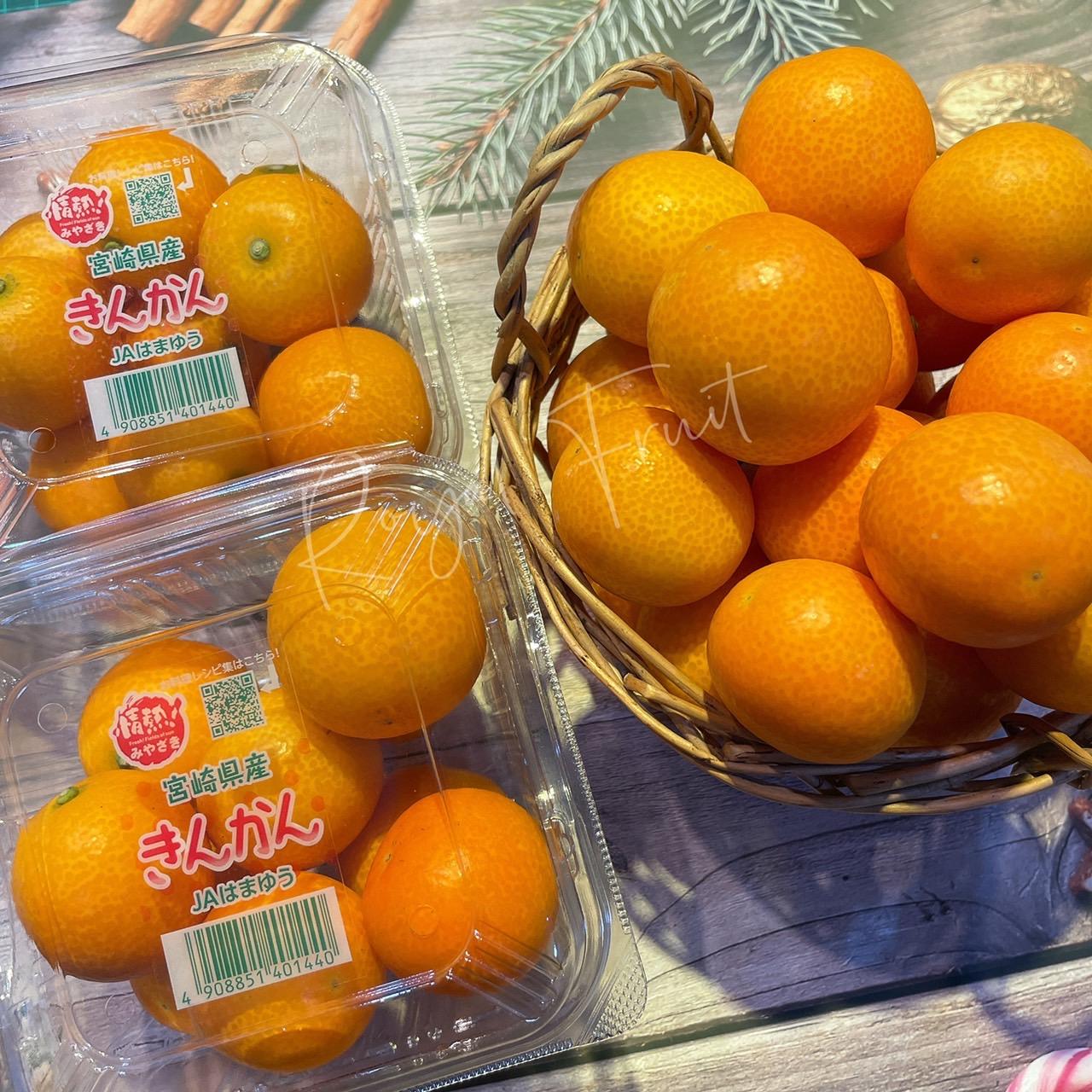 日本宮崎縣金桔 / 盒