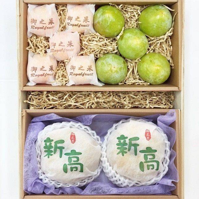 9-3日本小橘柑+美國恐龍蛋+韓國新高梨