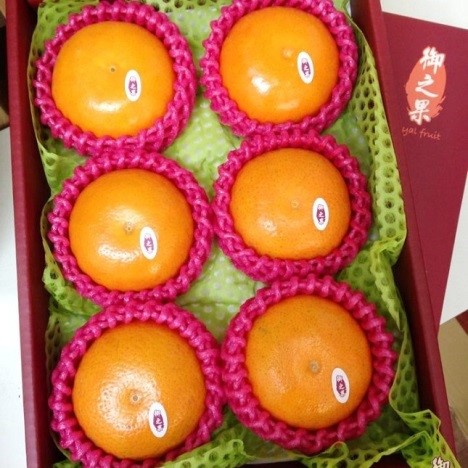 1-5澳洲茂谷柑 6入